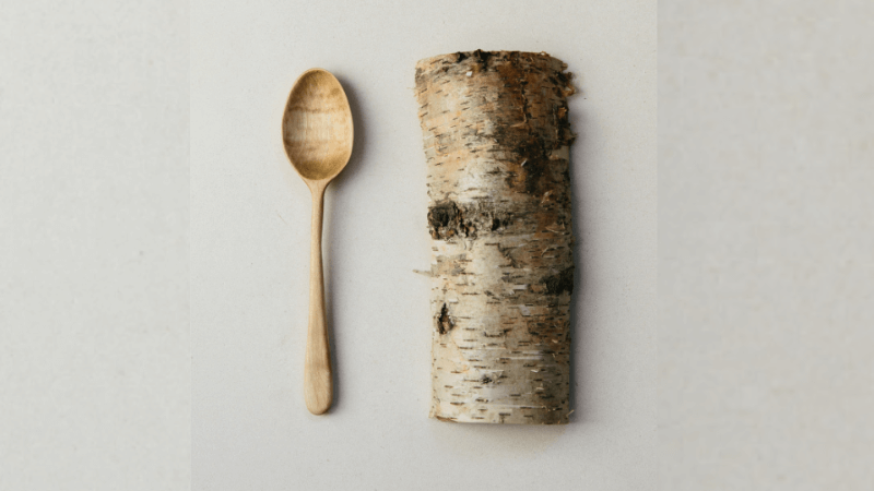 Our 6 Best Woods for Spoon Carving