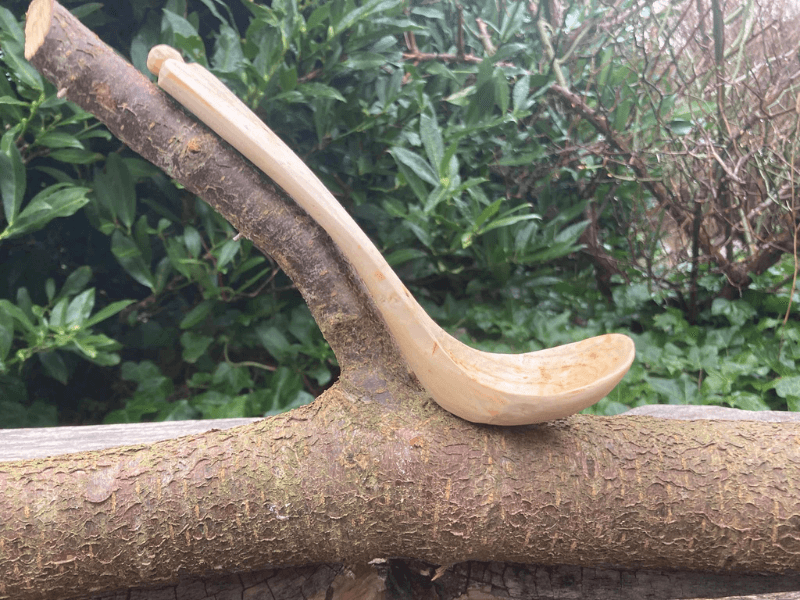 Blackthorn Spoon and Branch